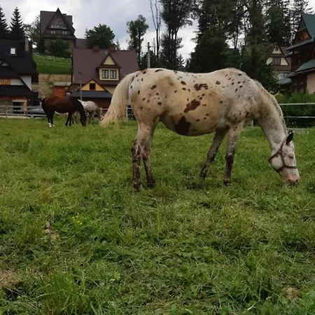 Przedsionek Tatr Chalet *