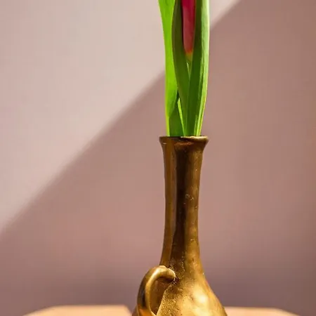 Przedsionek Tatr Закопане