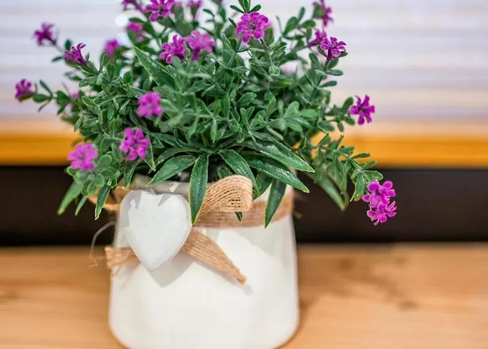 Przedsionek Tatr Alpehytte Zakopane