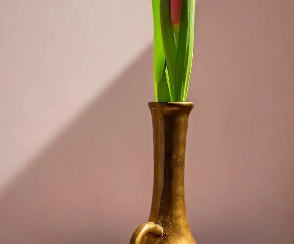 Przedsionek Tatr Zakopane